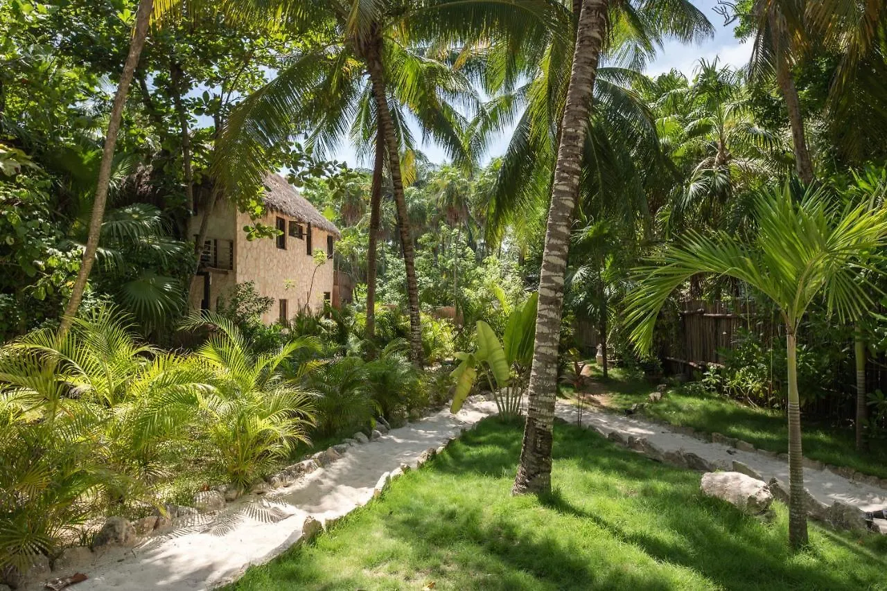 ****  Nest Tulum Hotel Mexico