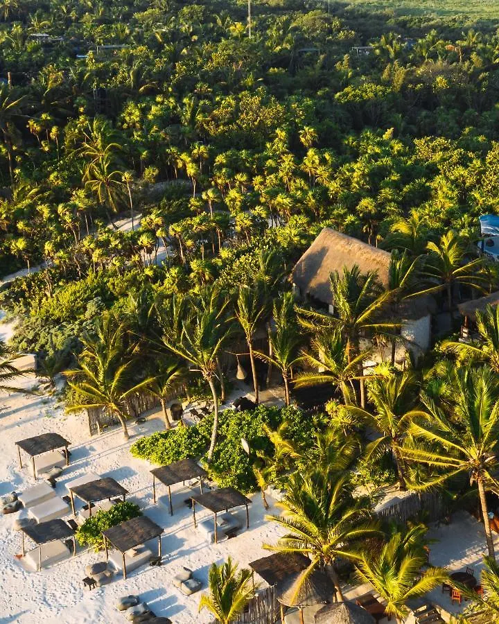 Nest Tulum Hotel